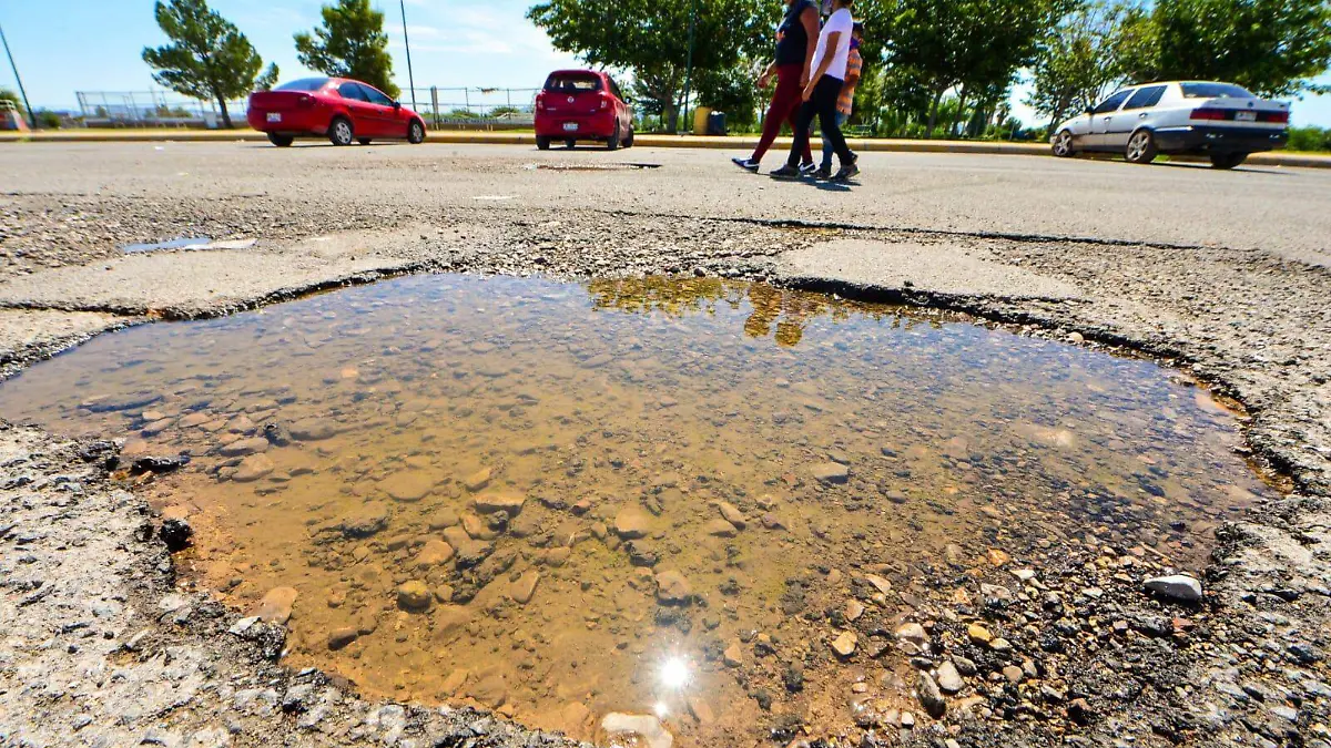 Baches depor 3